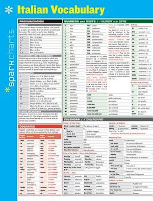 Italian Vocabulary Sparkcharts, Volume 32