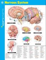 Nervous System