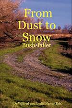 From Dust to Snow