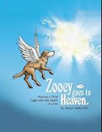Zooey Goes to Heaven