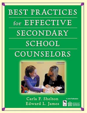 Best Practices for Effective Secondary School Counselors