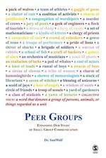 Peer Groups