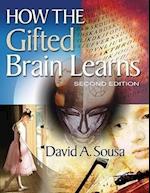 How the Gifted Brain Learns