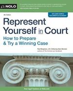 Represent Yourself in Court