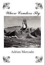 Where Condors Fly