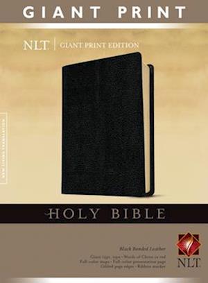 Giant Print Bible-NLT