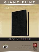 NLT Holy Bible, Giant Print, Black, Indexed