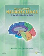 Mastering Neuroscience