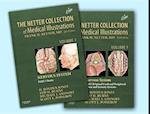 The Netter Collection of Medical Illustrations: Nervous System Package