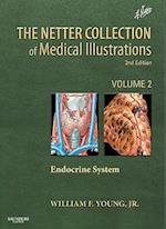 The Netter Collection of Medical Illustrations: The Endocrine System