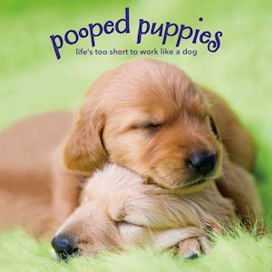 Pooped Puppies