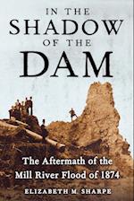 In the Shadow of the Dam