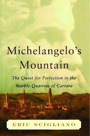 Michelangelo's Mountain