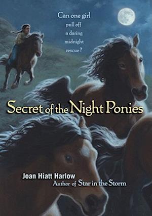 Secret of the Night Ponies