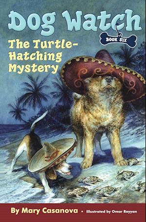 The Turtle-Hatching Mystery