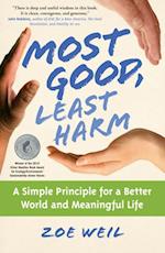 Most Good, Least Harm