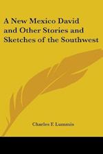 A New Mexico David and Other Stories and Sketches of the Southwest