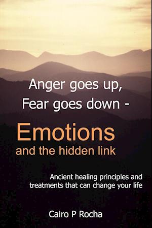 Anger Goes Up, Fear Goes Down- Emotions and the Hidden Link