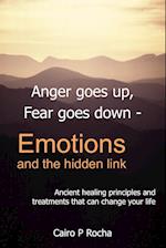 Anger Goes Up, Fear Goes Down- Emotions and the Hidden Link