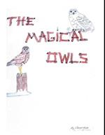 Magical Owls