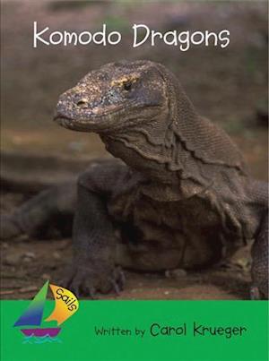 Komodo Dragon