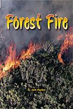 Forest Fire [With Teacher's Guide]