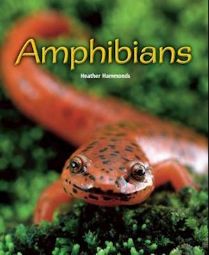 Amphibians [With Teacher's Guide]