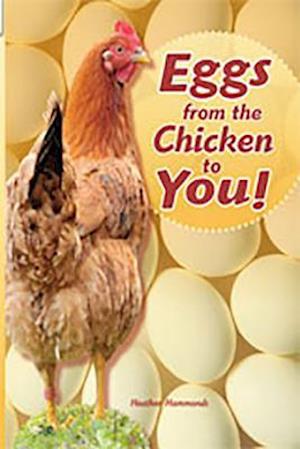 Eggs from Chicken to You [With Teacher's Guide]