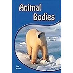 Animal Bodies [With Booklet]