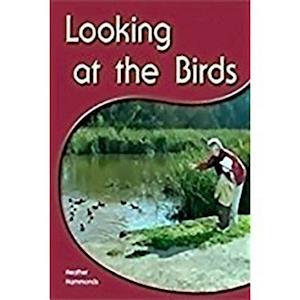 Looking at the Birds [With Booklet]