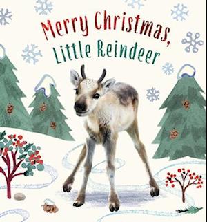 Merry Christmas, Little Reindeer