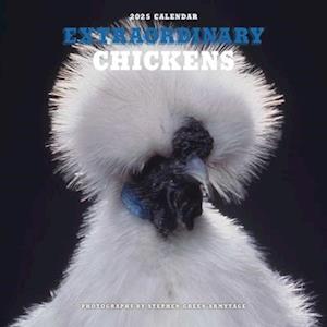 Extraordinary Chickens 2025 Wall Calendar