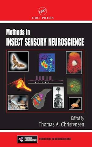 Methods in Insect Sensory Neuroscience