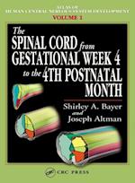 Spinal Cord from Gestational Week 4 to the 4th Postnatal Month