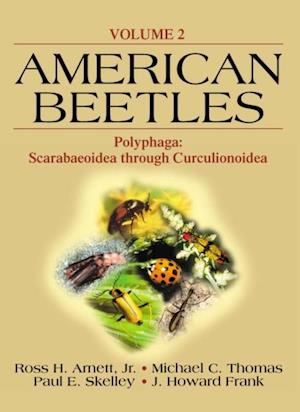 American Beetles, Volume II