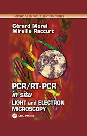 PCR/RT- PCR in situ