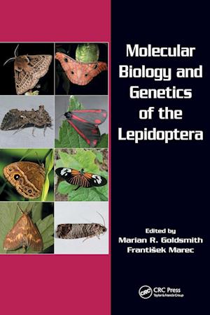 Molecular Biology and Genetics of the Lepidoptera