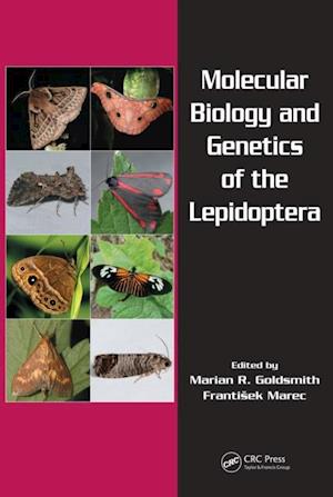 Molecular Biology and Genetics of the Lepidoptera