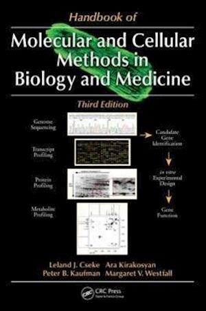 Få Handbook Molecular Cellular Methods in Biology and Medicine af Peter B Kaufman som Hardback på engelsk