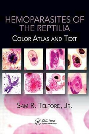 Hemoparasites of the Reptilia