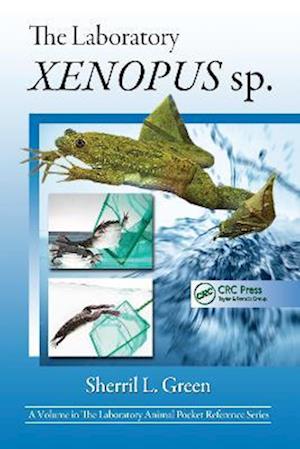 The Laboratory Xenopus sp.