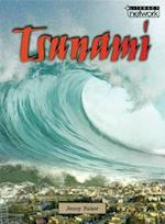 Literacy Network Middle Primary Upp Topic5:Tsunami