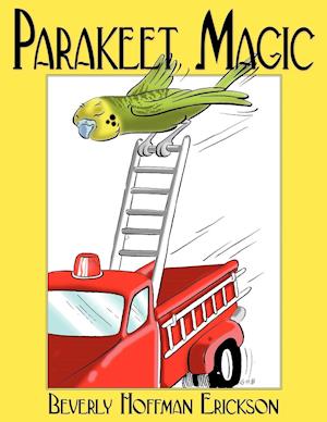 Parakeet Magic