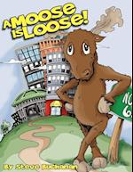 A Moose Is Loose!