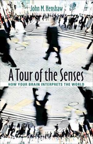 Tour of the Senses