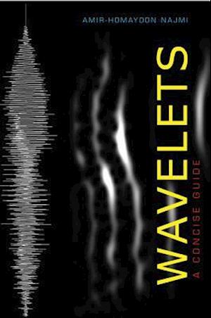 Wavelets