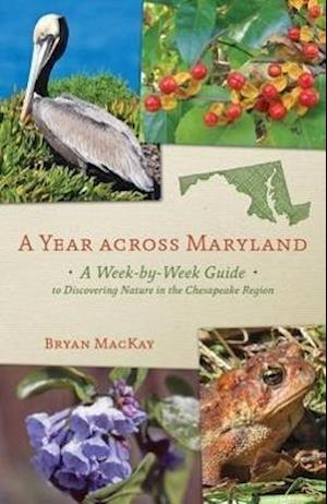 A Year Across Maryland