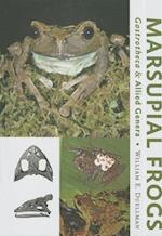 Marsupial Frogs