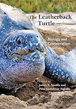 The Leatherback Turtle
