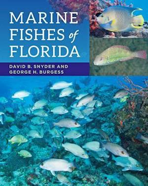 Marine Fishes of Florida